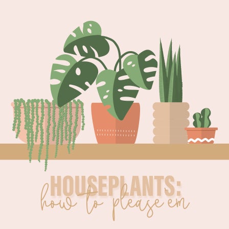 Houseplants: How To Please 'em