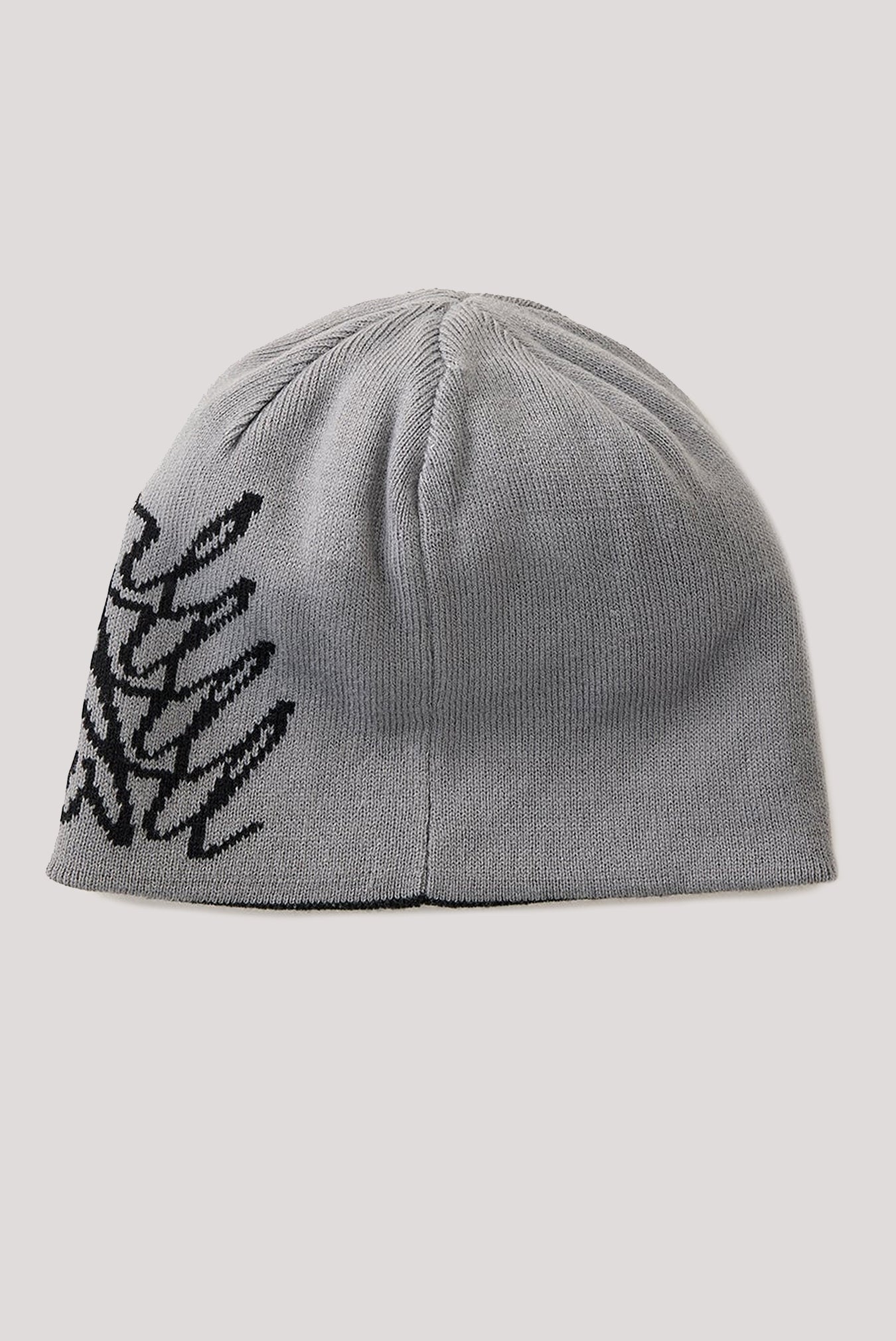 Archive Revo Skull Beanie | North Beach
