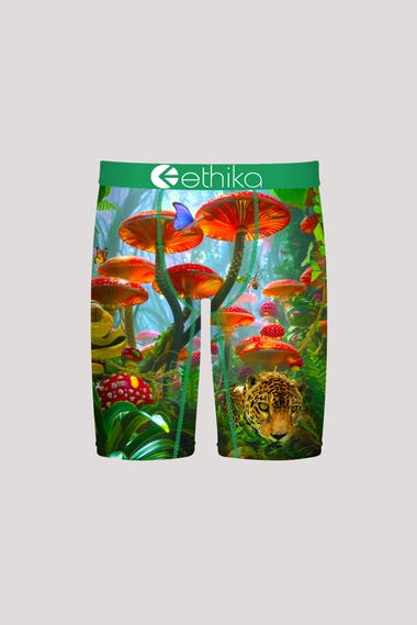 Youth Kingdom Morning Staple Underwear