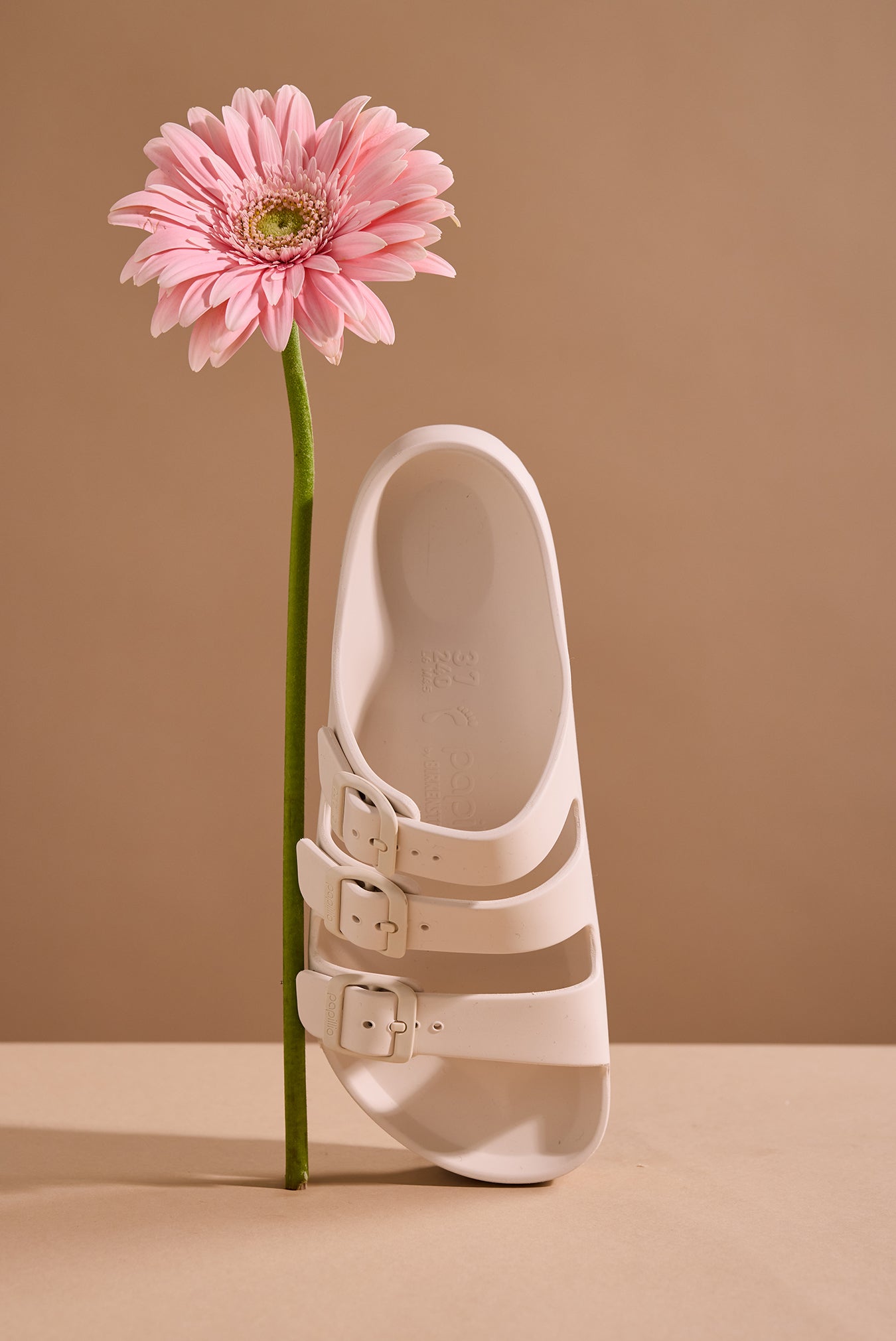 Des Sandales Pour Femmes Pallacruise Strap PALLADIUM