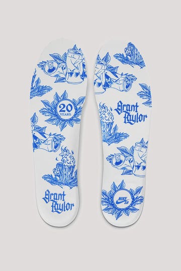 Sb Blazer Low Pro Gt Premium Shoes