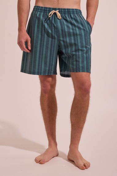 Paisley Stripe Boardshorts