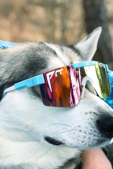 The Gobby Polarized - Single Wide Sunglasses