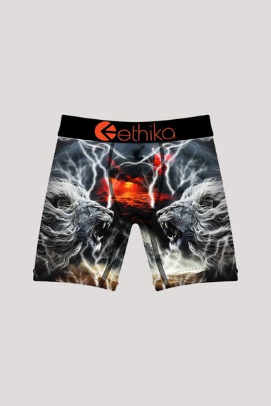 Toddlers Lion Strike Staple Underwear