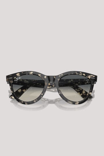Wayfarer Way Sunglasses