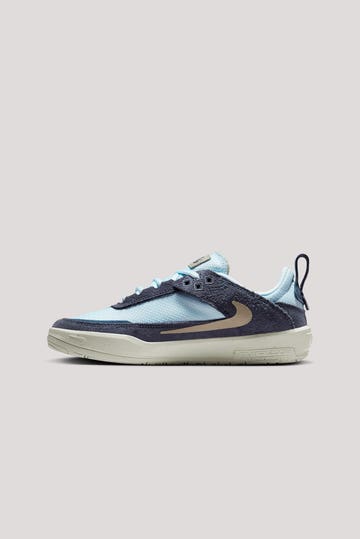 Youth Nike Sb Day One Shoes
